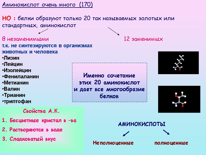Аминокислот очень много  (170)   НО : белки образуют только 20 так